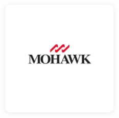 Mohawk | Rainbow Carpet