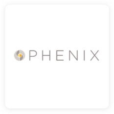 Phenix | Rainbow Carpet