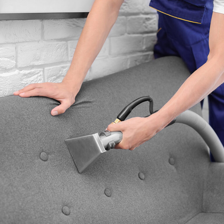 Dry cleaning worker removing dirt from sofa indoors | Rainbow Carpet